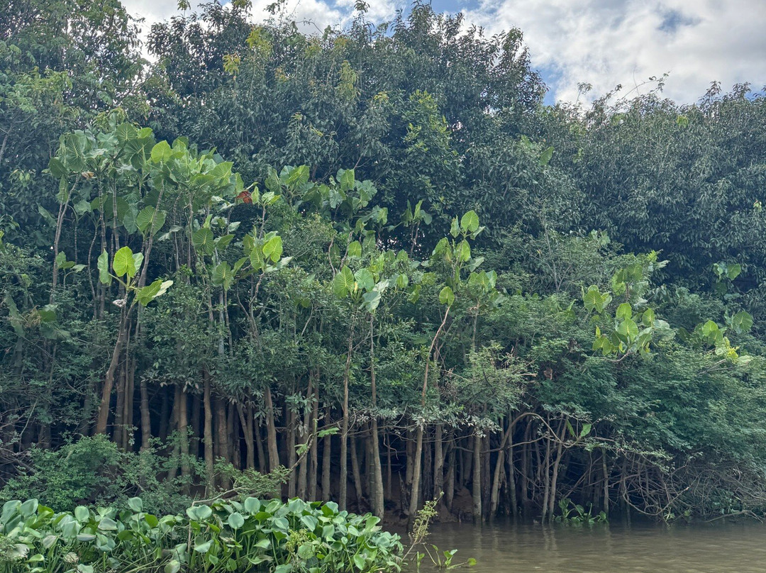 Parnaiba Delta-Parnaiba必去景点