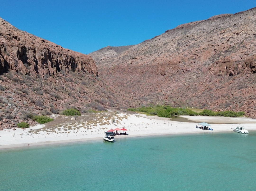 Baja Toto Tours-拉巴斯必去景点