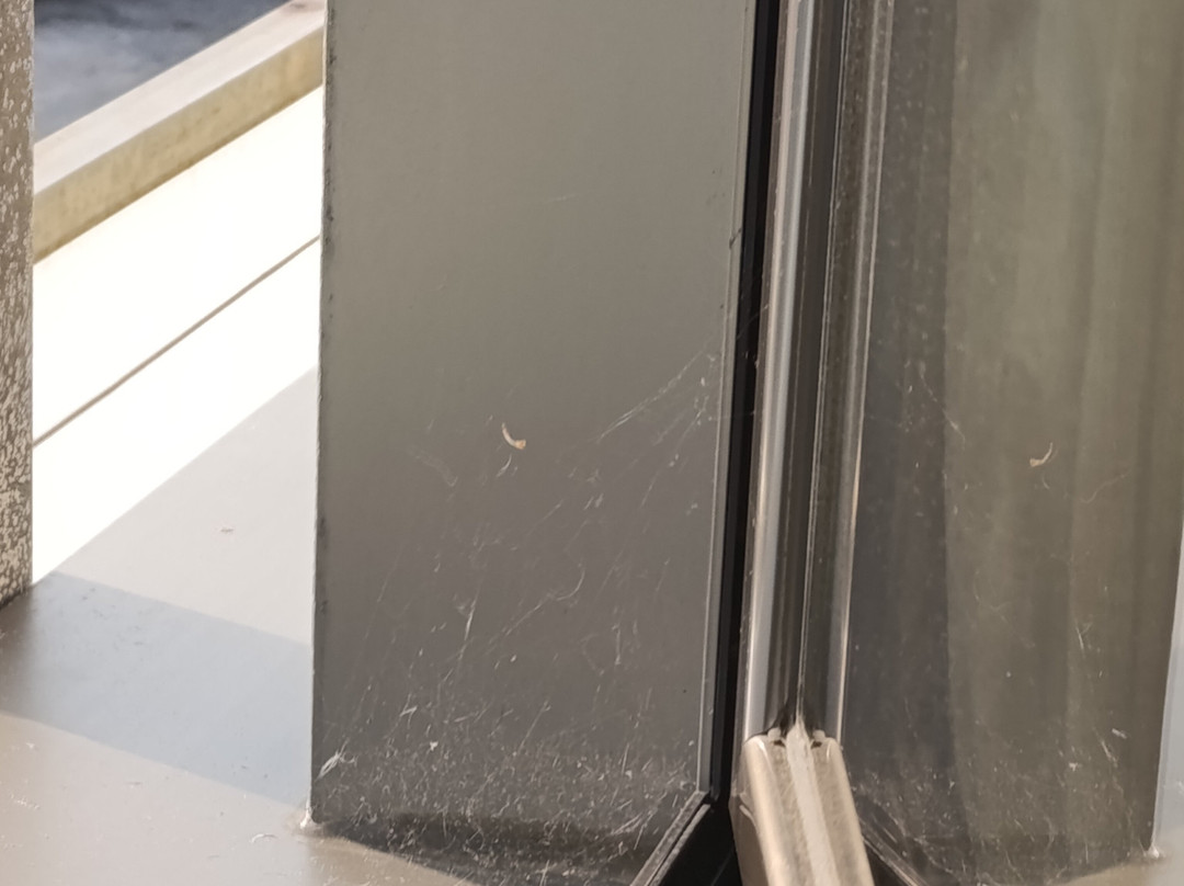 Hotel Estrella Del Norte主图