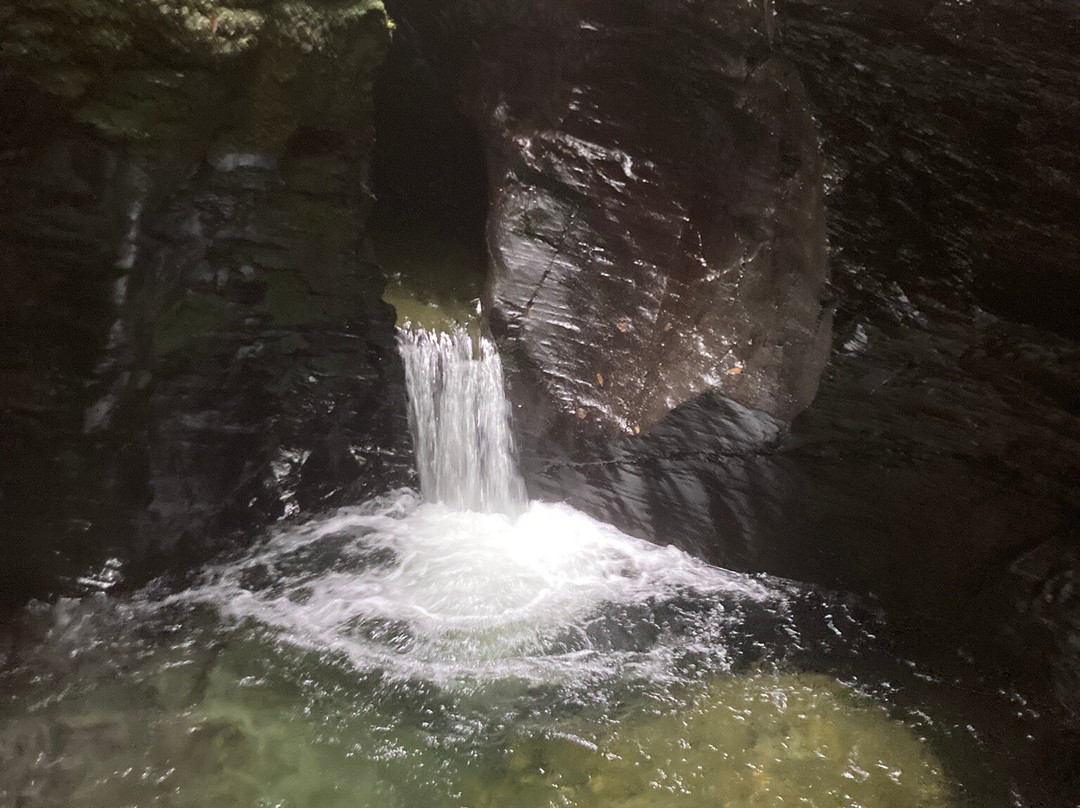 Lydford Gorge-Lydford必去景点