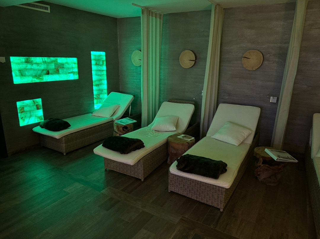 Logis Gourmet & Relax Hôtel de la Sûre主图
