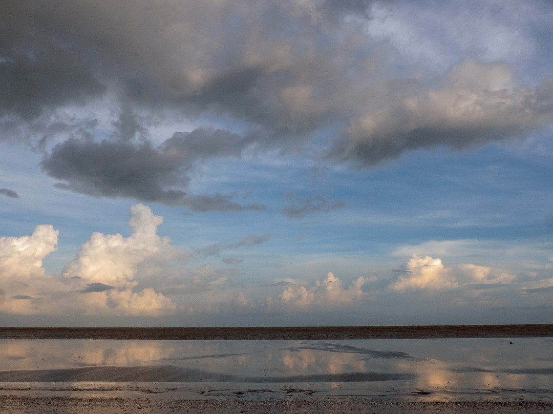 Dublagadi Sea Beach-Balasore必去景点