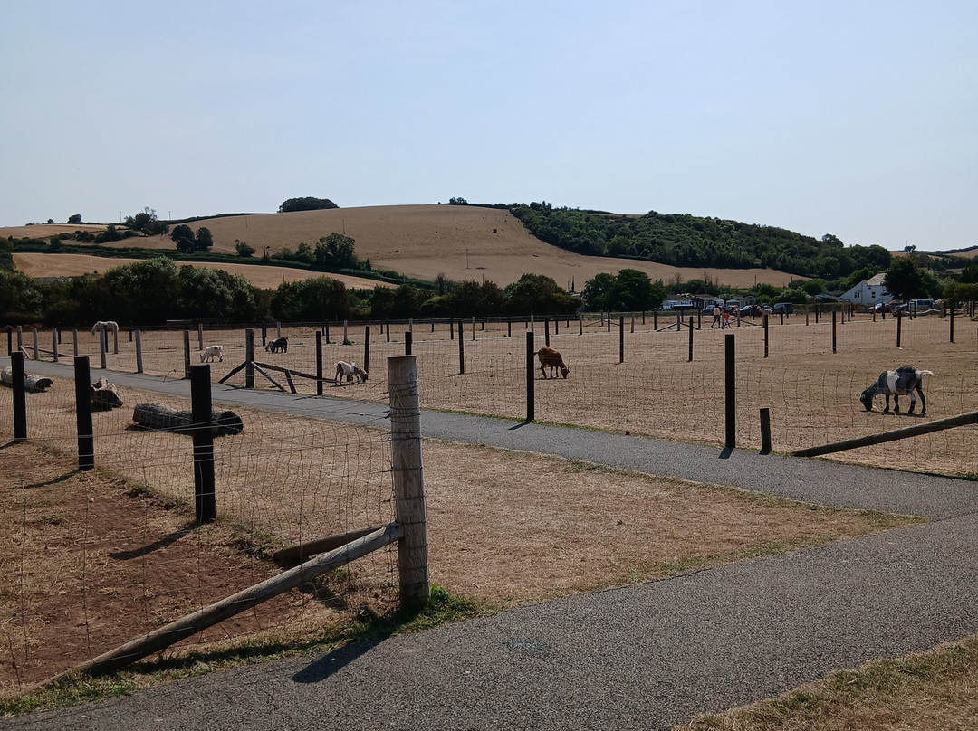 Doniford Farm Park-Watchet必去景点