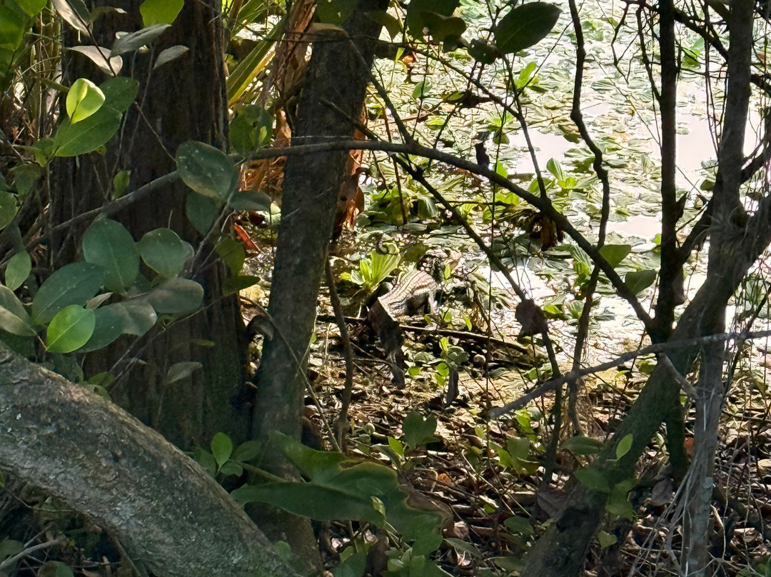 Apoxee Wilderness Trail-西棕榈滩必去景点