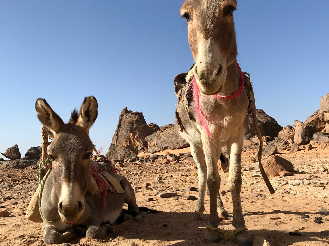Tassili N'Ajjer National Park-Djanet必去景点