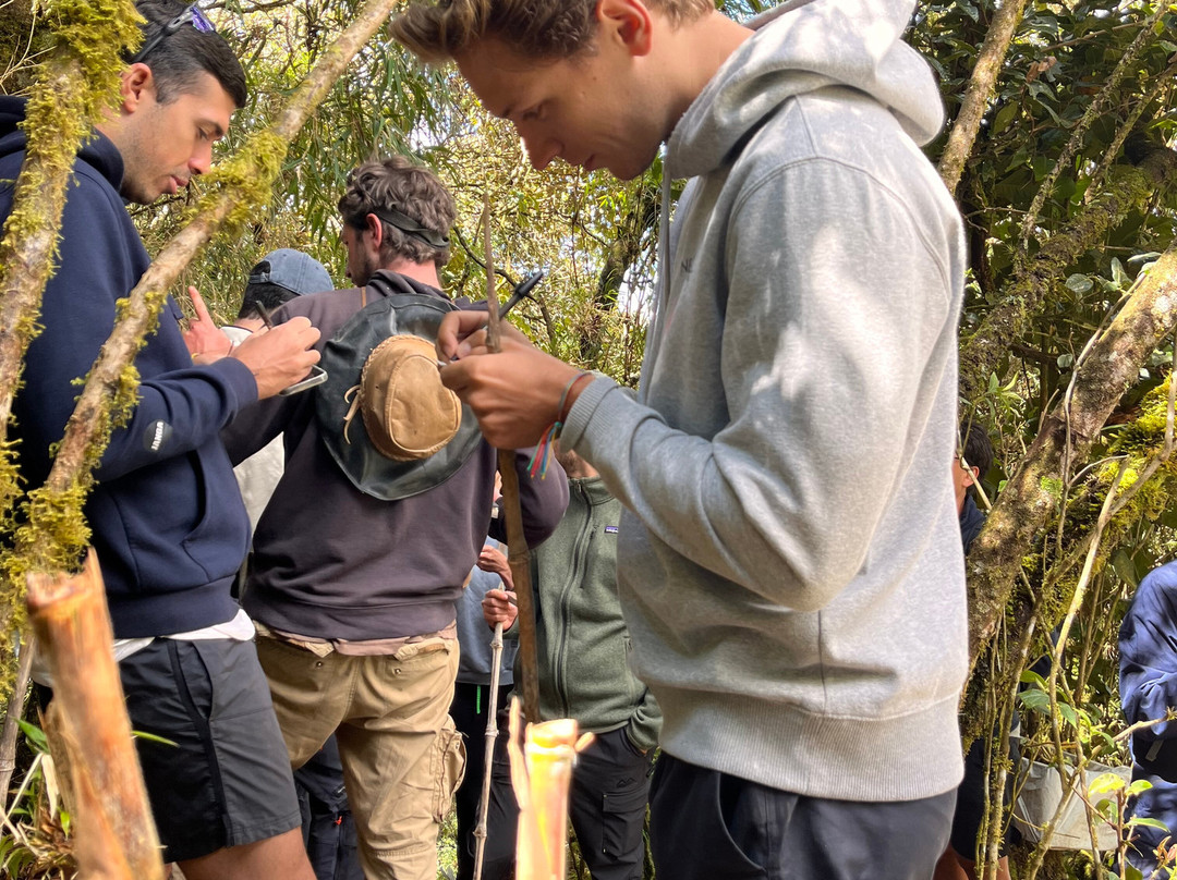 5to Elemento Tours-Boquia必去景点