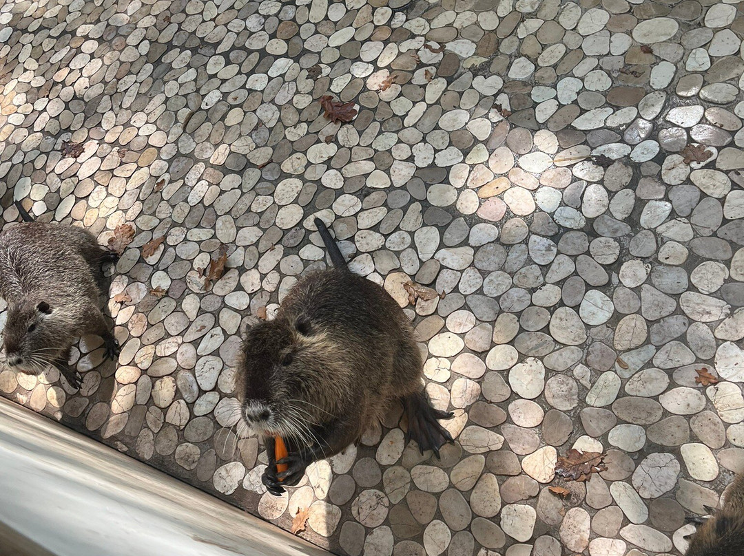 Le Parc Myocastors-Dolus-d'Oleron必去景点