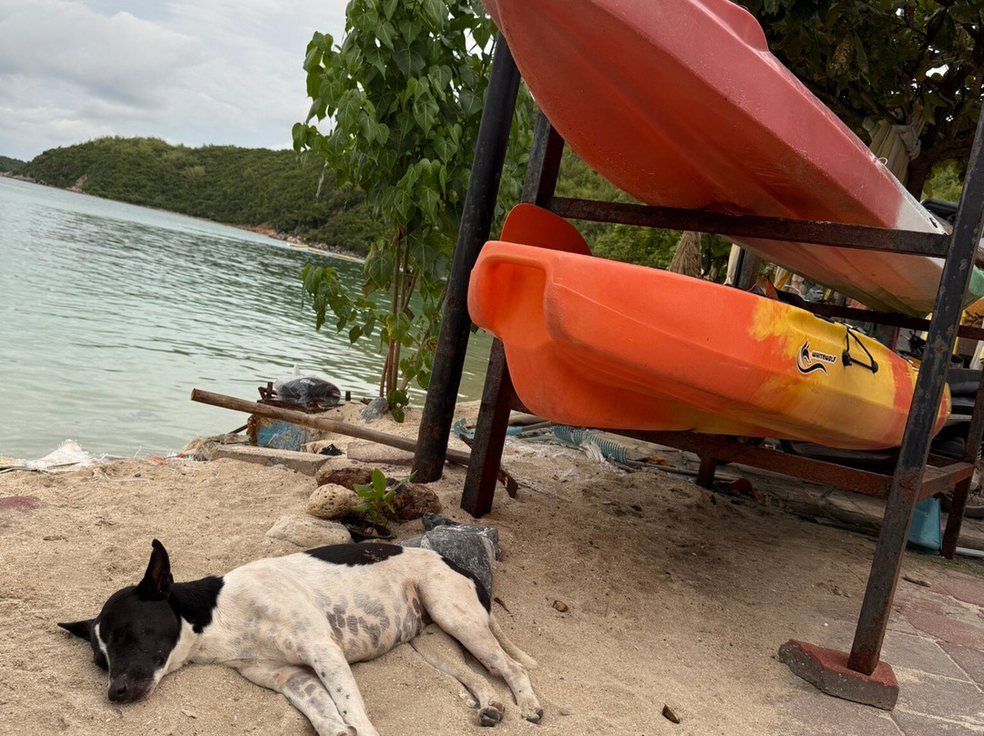 Thong Lang Beach-珊瑚岛必去景点