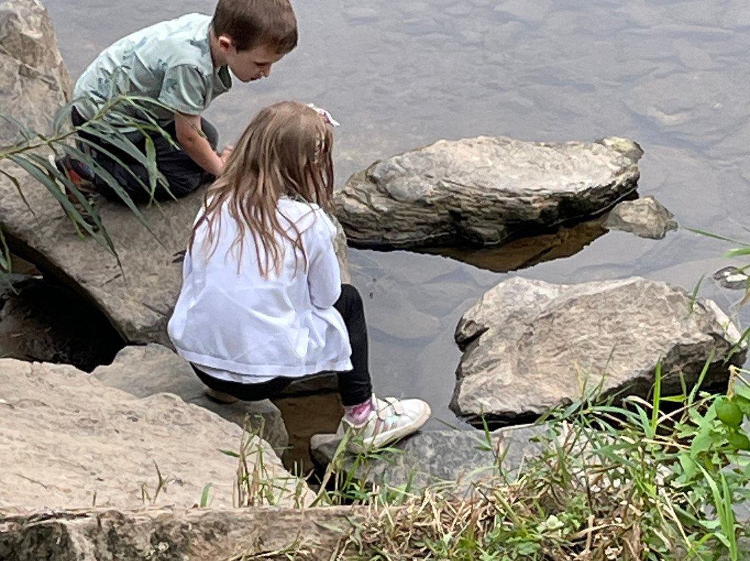 Severn Valley Country Park-Alveley必去景点