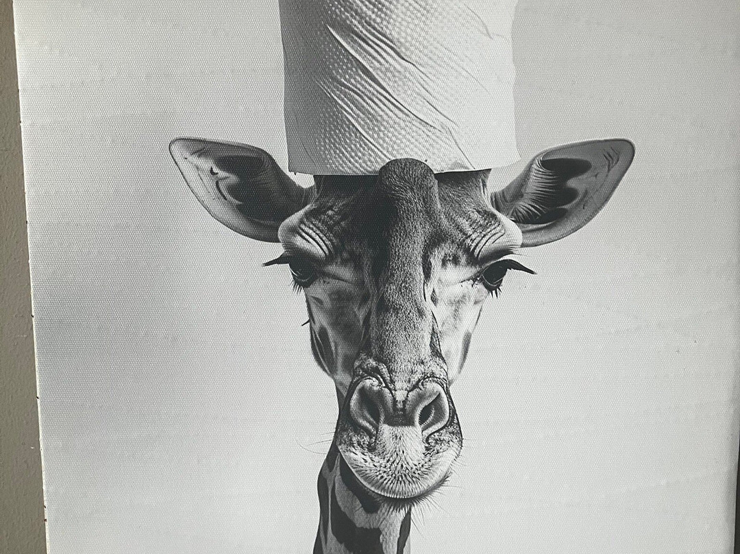 The Dyvels Inn主图