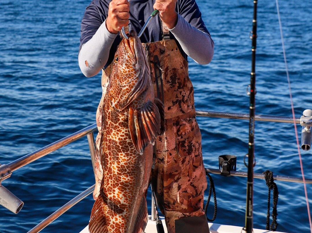 ProFish-n-Sea Charters-苏厄德必去景点