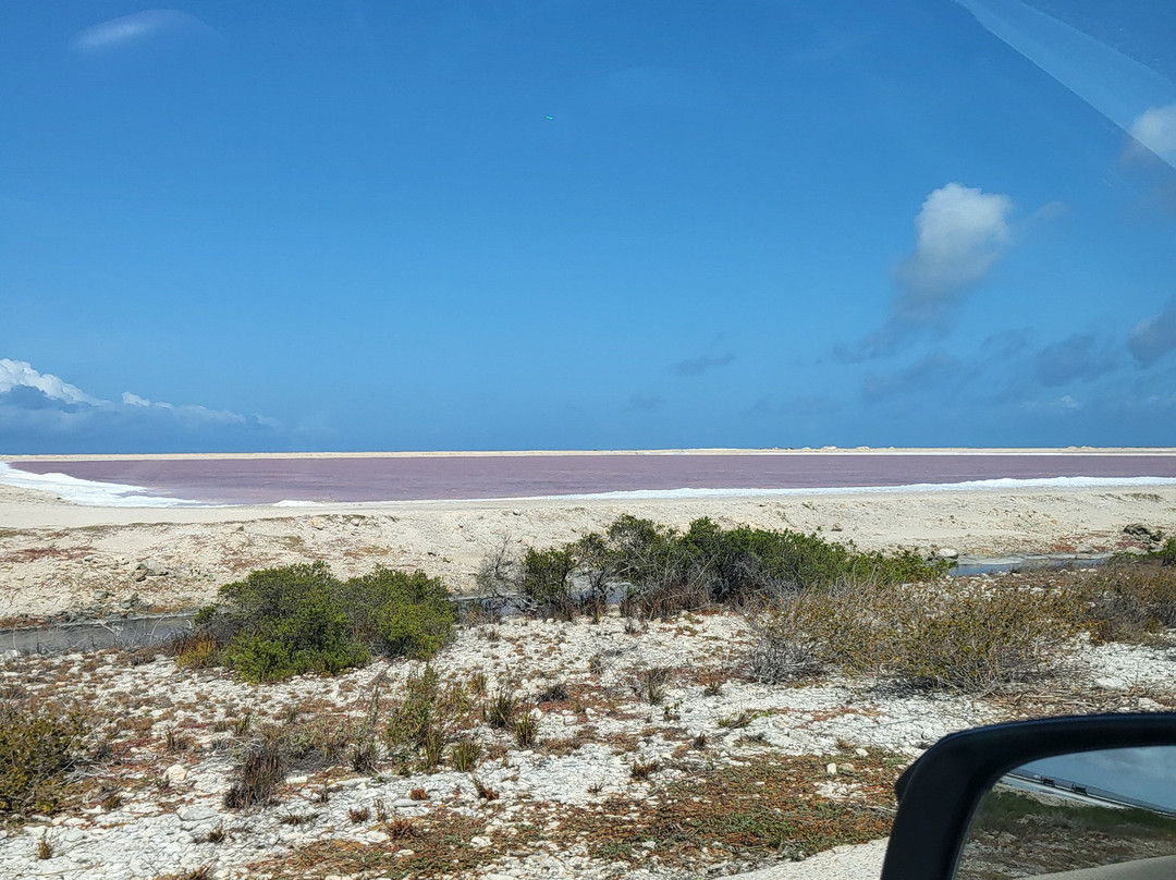 Pickup Huren Bonaire-Belnem必去景点