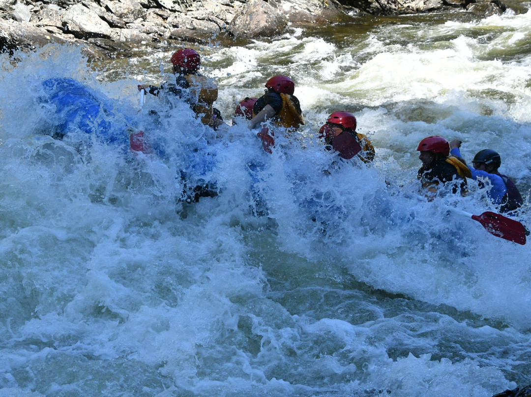 Crab Apple Whitewater-The Forks必去景点
