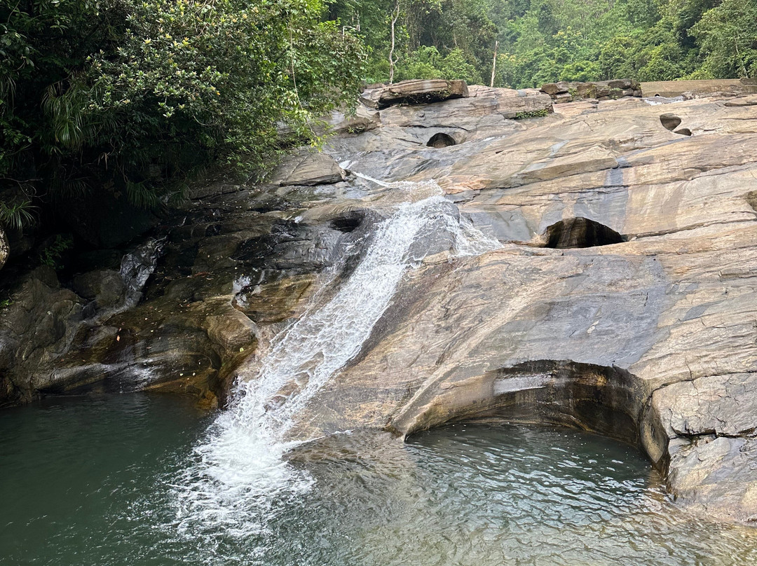 Palmstone Retreat主图