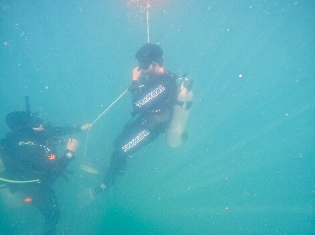 Narwhal-伊利亚贝拉必去景点