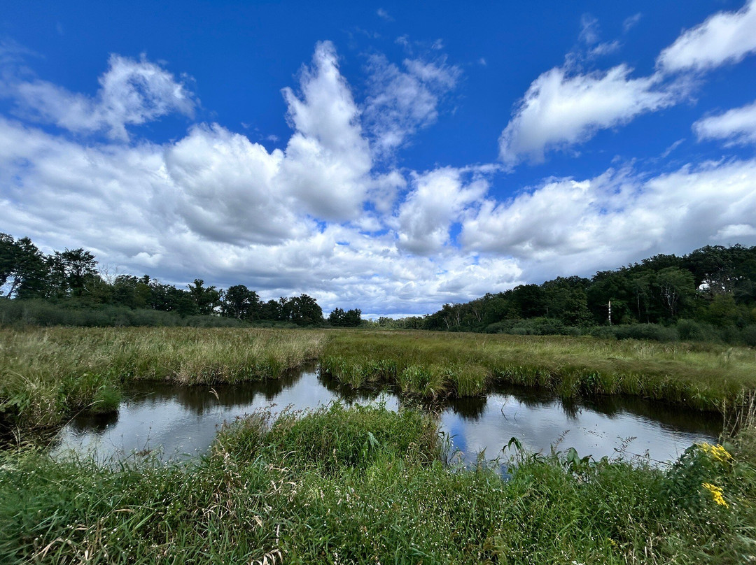 William O'Brien State Park-Marine on Saint Croix必去景点
