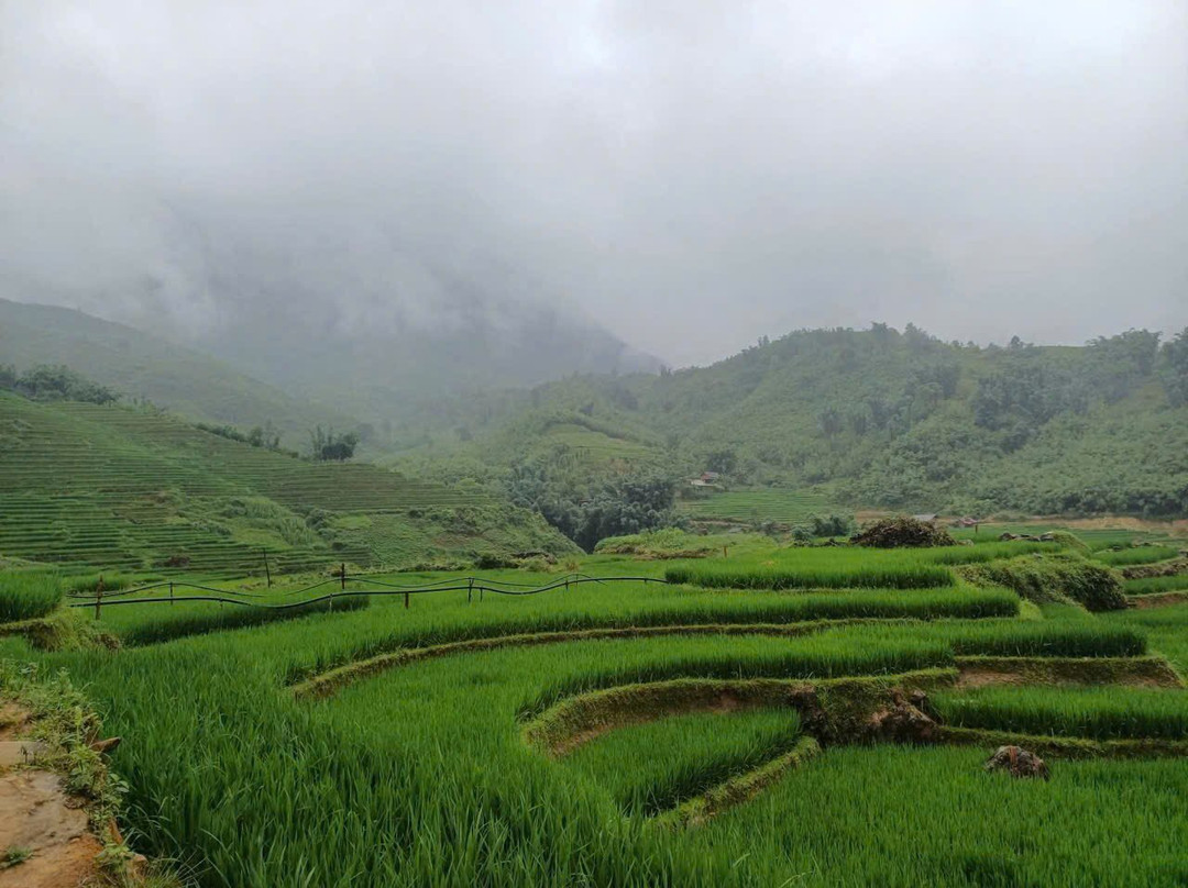 Sapa Buffalo Trekking-沙巴必去景点