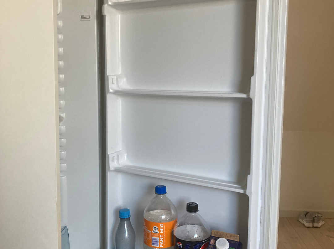 Ditlevsdal Bison Farm-Morud必去景点