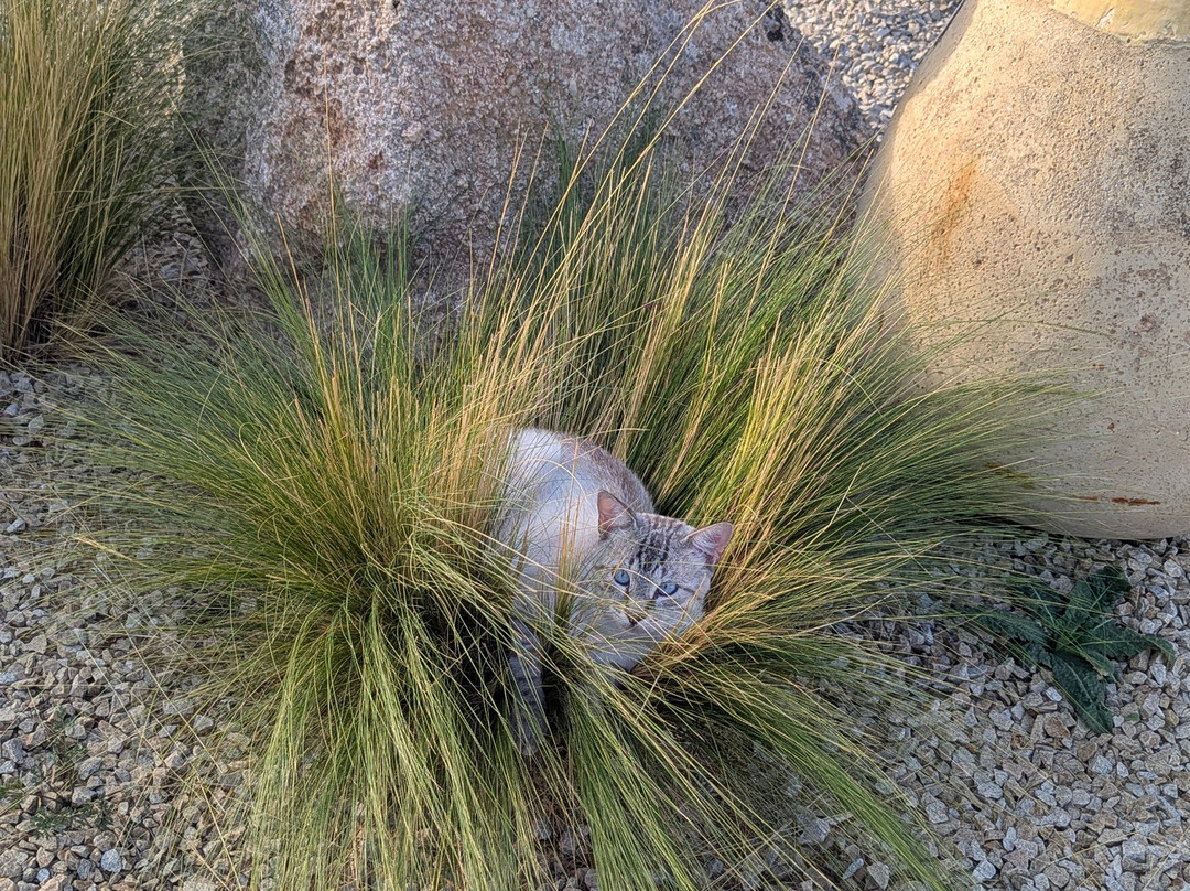 Gallicantu Stazzo Retreat主图