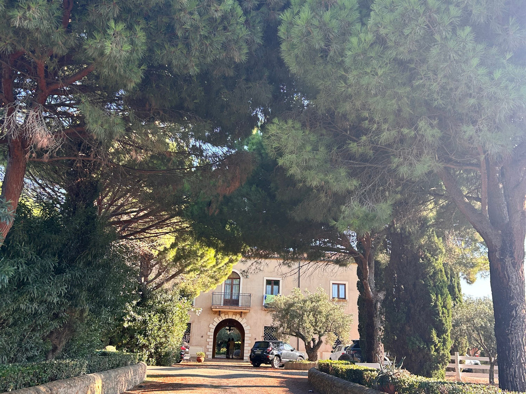 Fattoria Il Borghetto主图