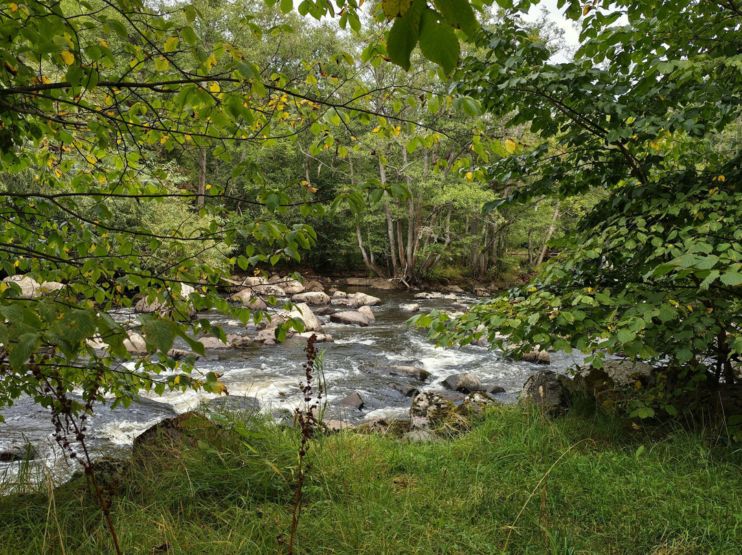 Naturreservatet Sörkvarnsforsen,-Hallstahammar必去景点