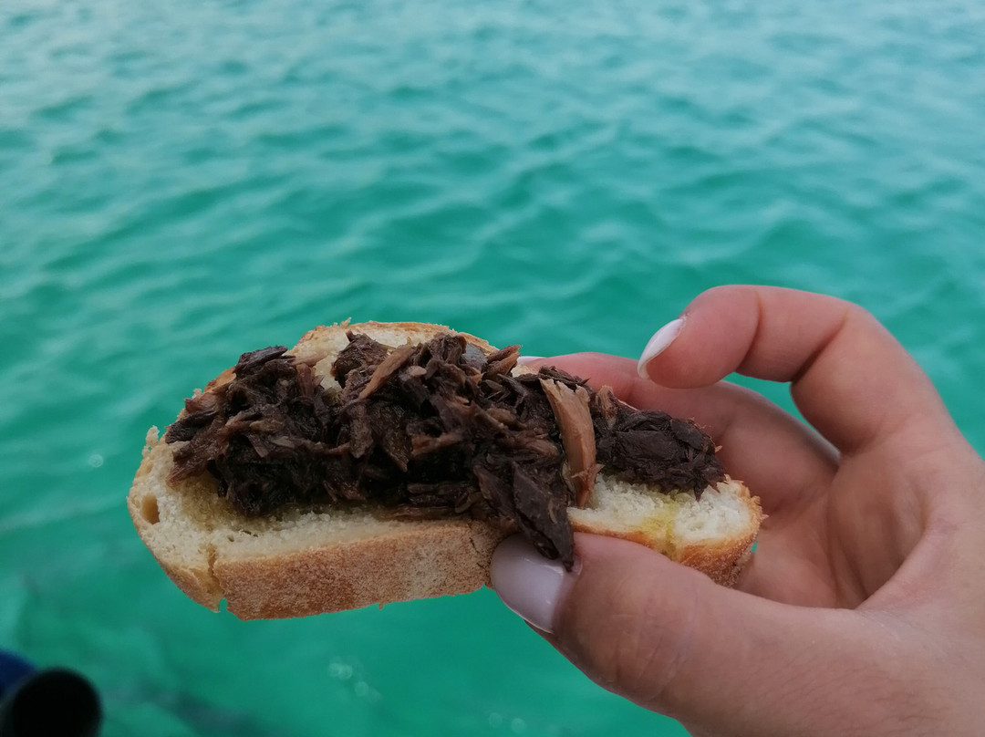 Nerea Escursioni By Furriando Marzamemi-Marzamemi必去景点