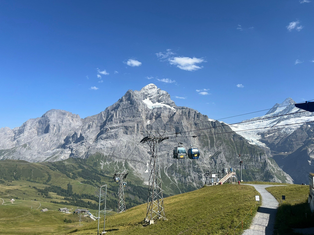 First Cliff Walk by Tissot-格林德瓦必去景点