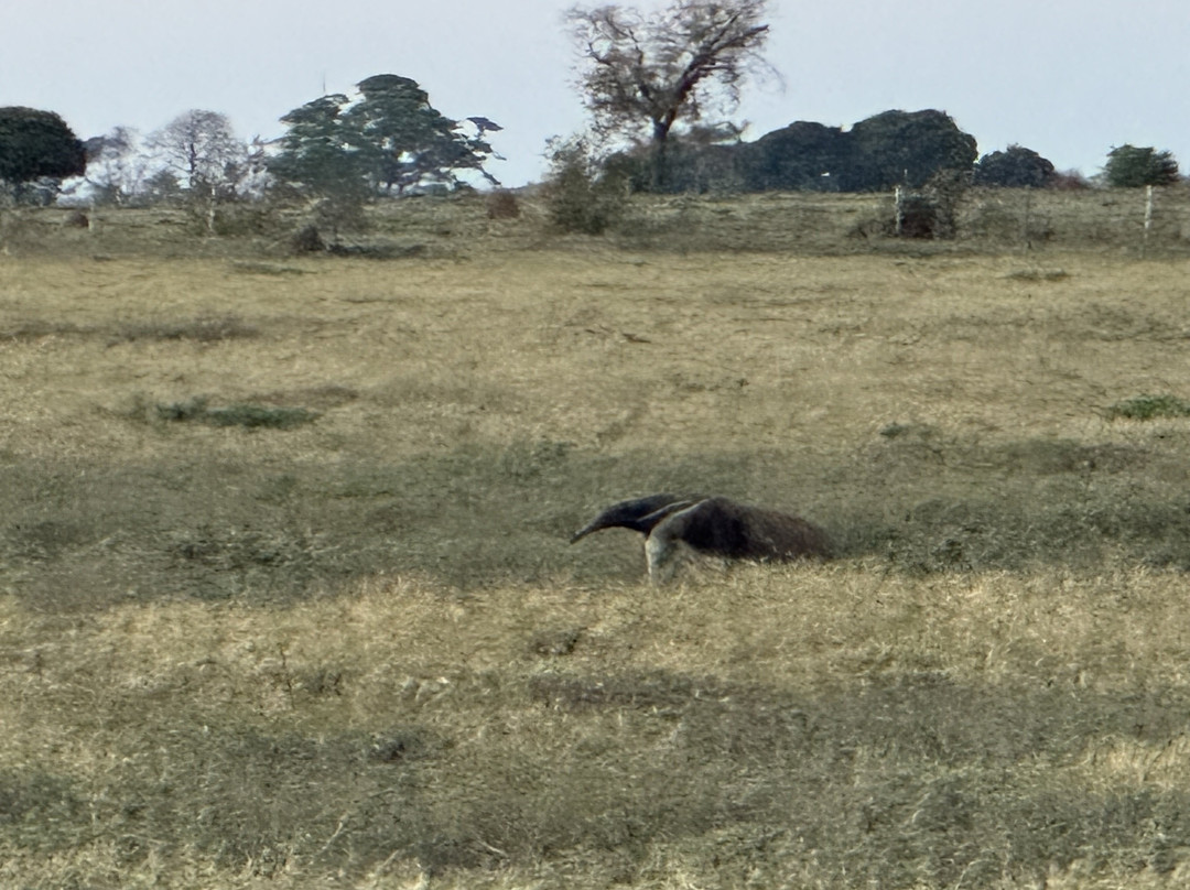 Caiman Ecological Refuge-米兰达必去景点