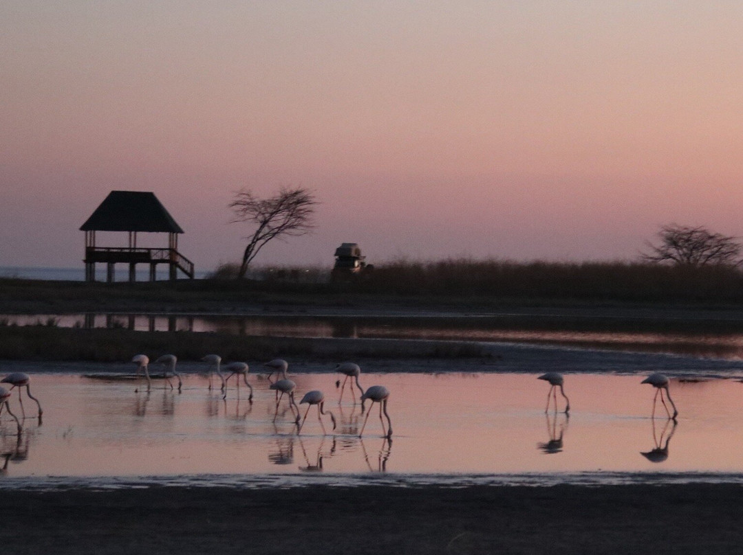 Nata Bird Sanctuary-Nata必去景点