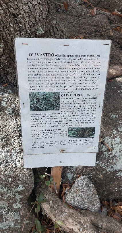 Lu Brandali: Leggi Tocca Ascolta - Mostra di Archeologia Nuragica-圣特雷莎加卢拉必去景点