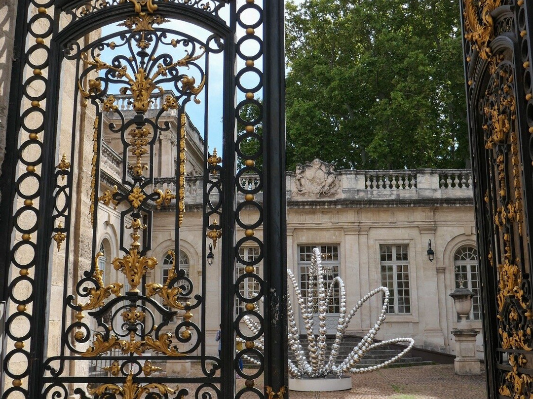 卡维博物馆-阿维尼翁必去景点