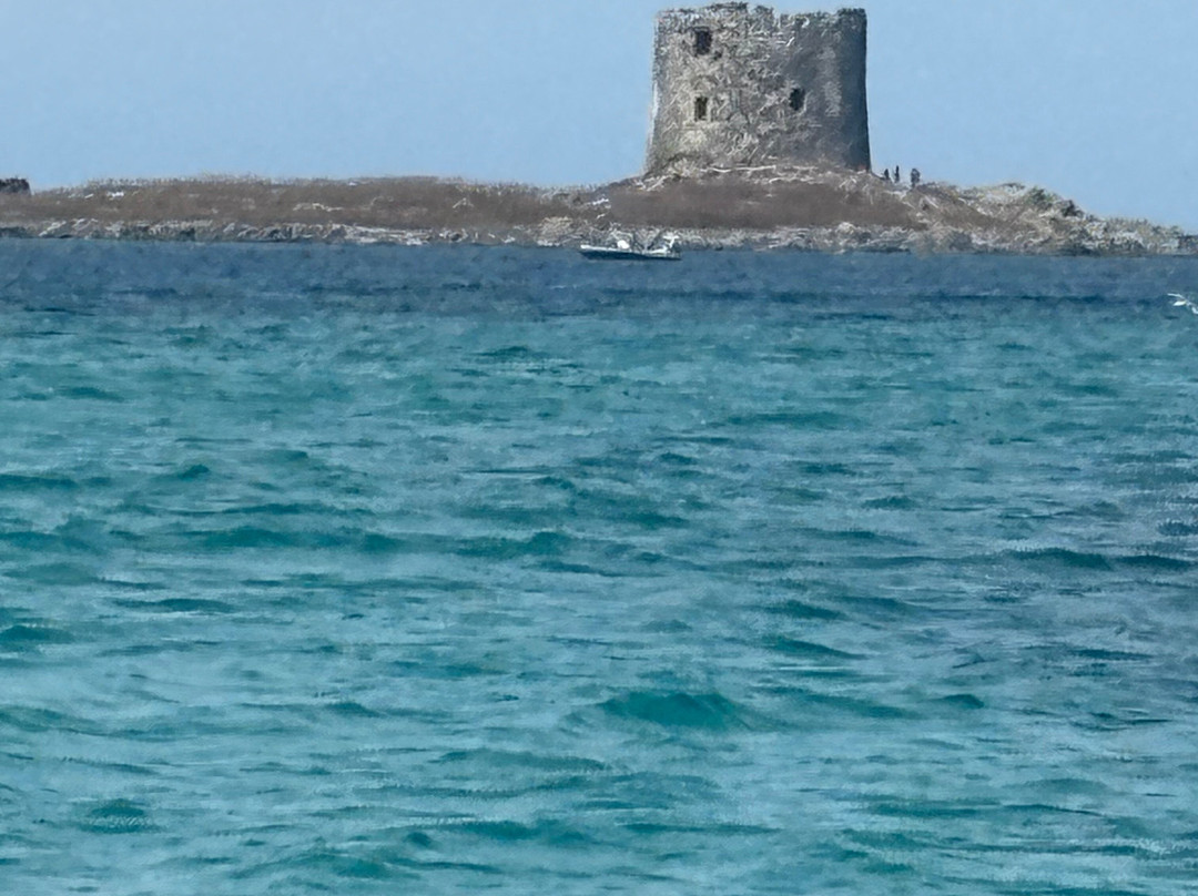 Escursioni Alghero Asinara-阿尔盖罗必去景点