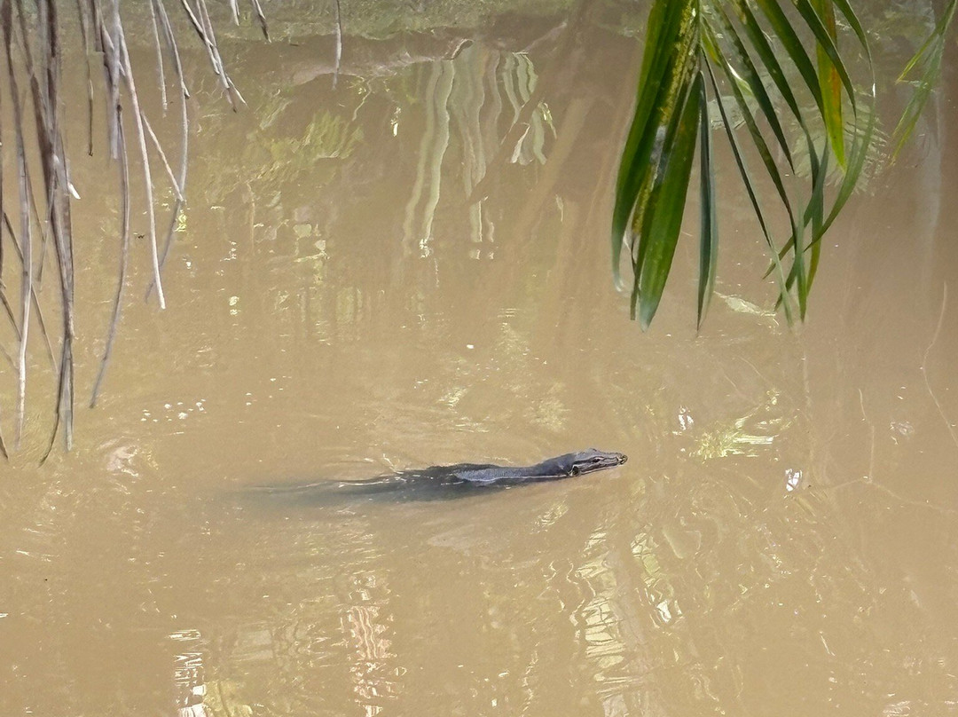 Fisherman Way Beach Villa主图