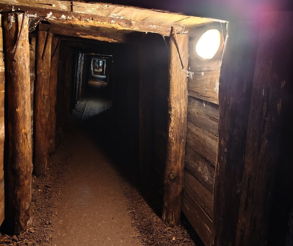 Parco Archeominerario Di San Silvestro-Campiglia Marittima必去景点