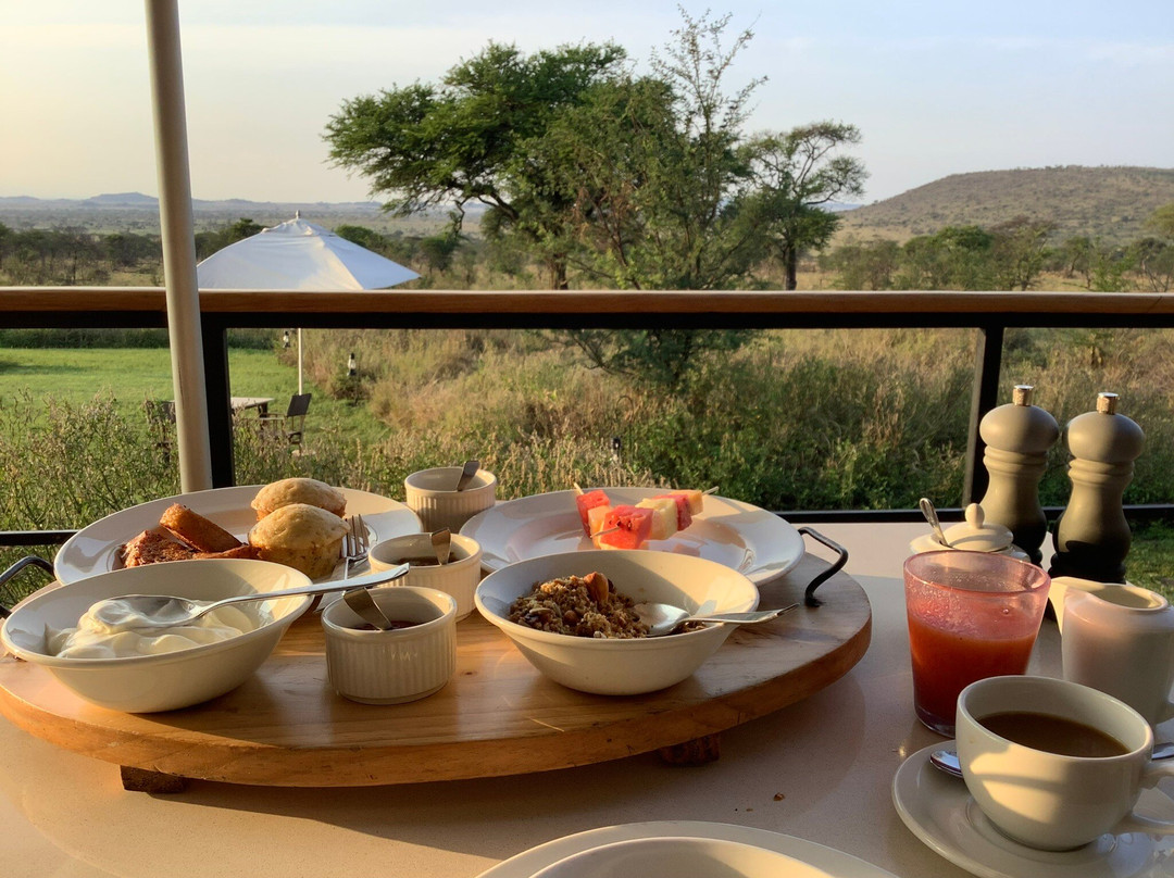 Serengeti Pride-阿鲁沙必去景点