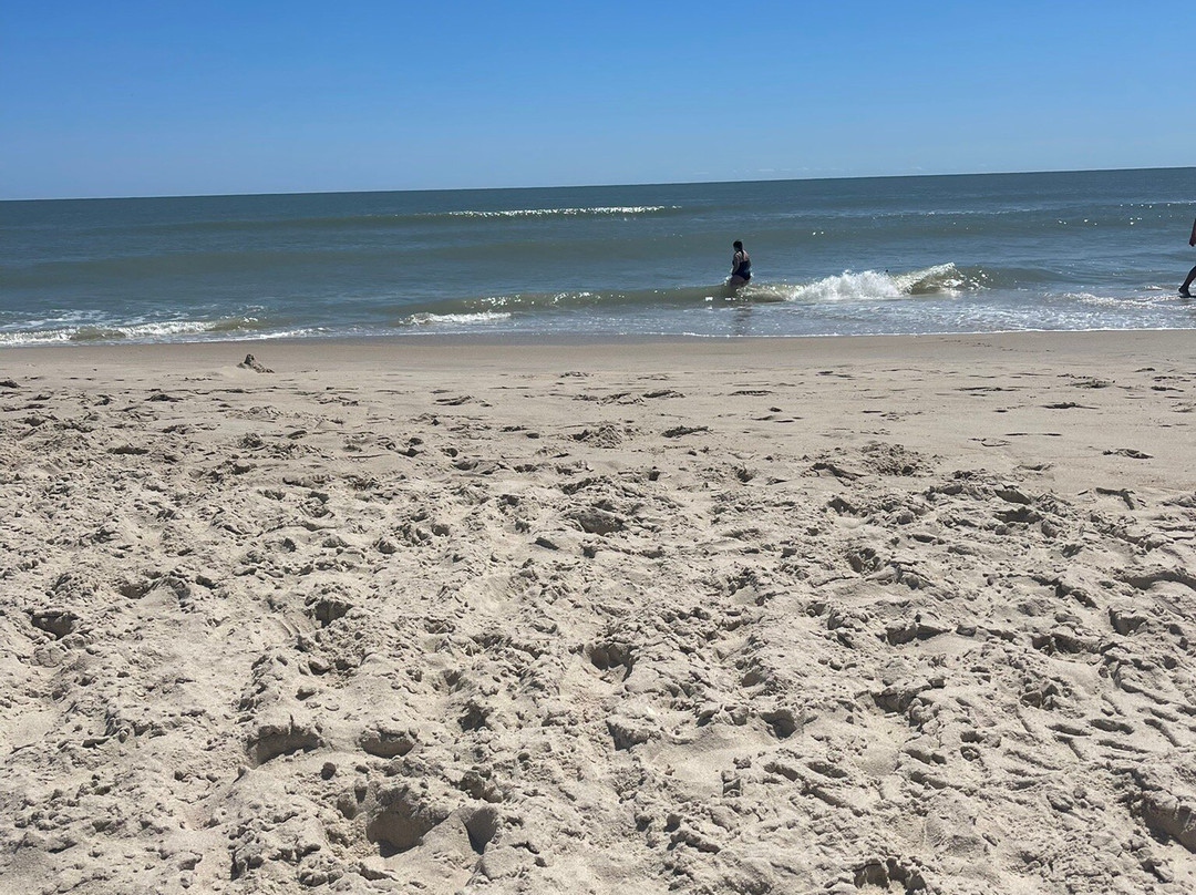 Assateague State Park-Berlin必去景点