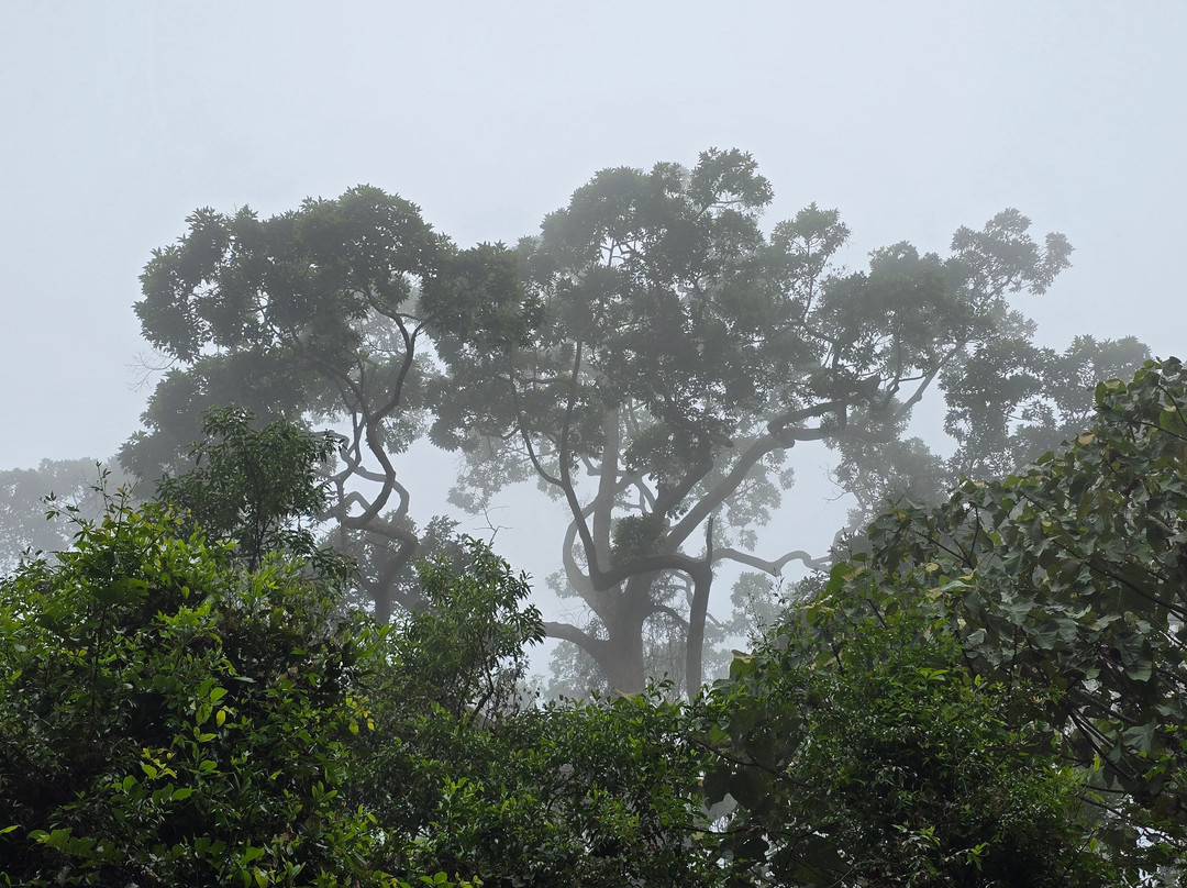 Khao Yai National Park-北丕必去景点