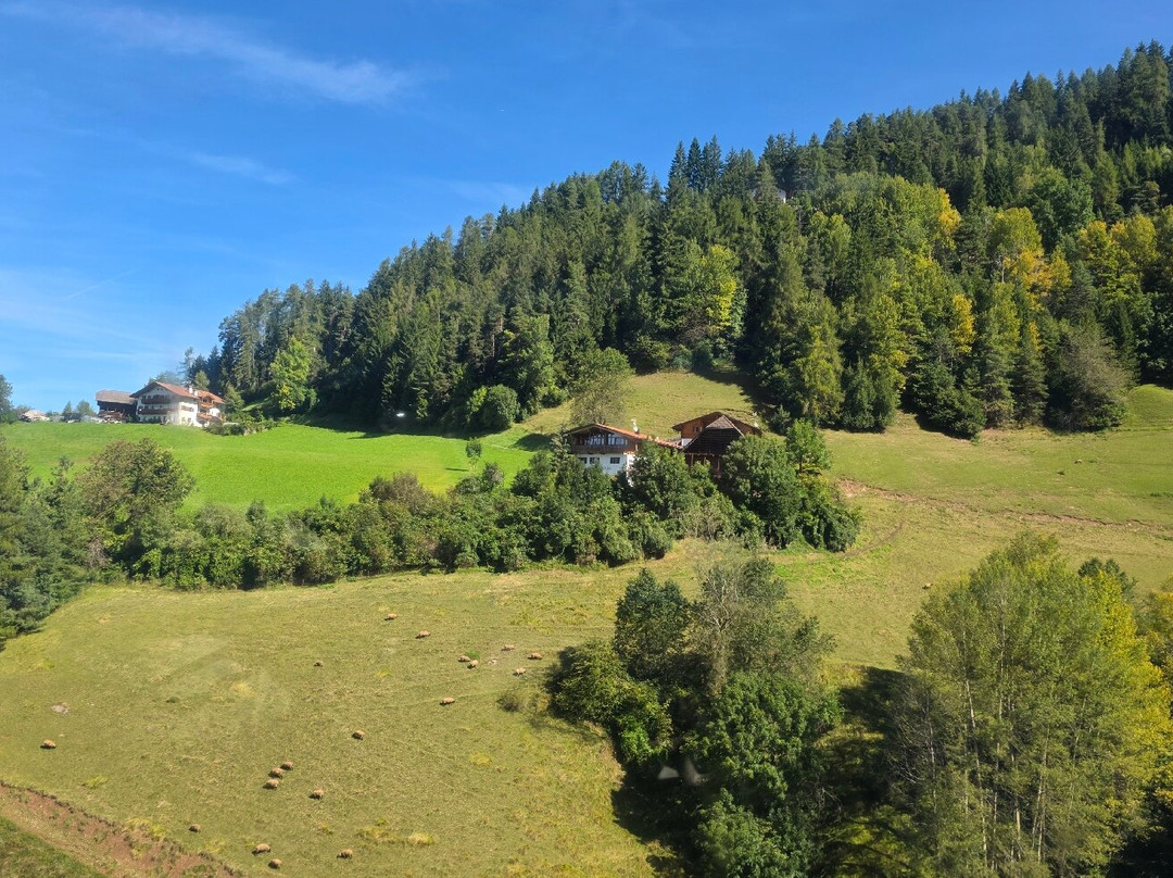 Alpe di Siusi-Alpe di Siusi必去景点