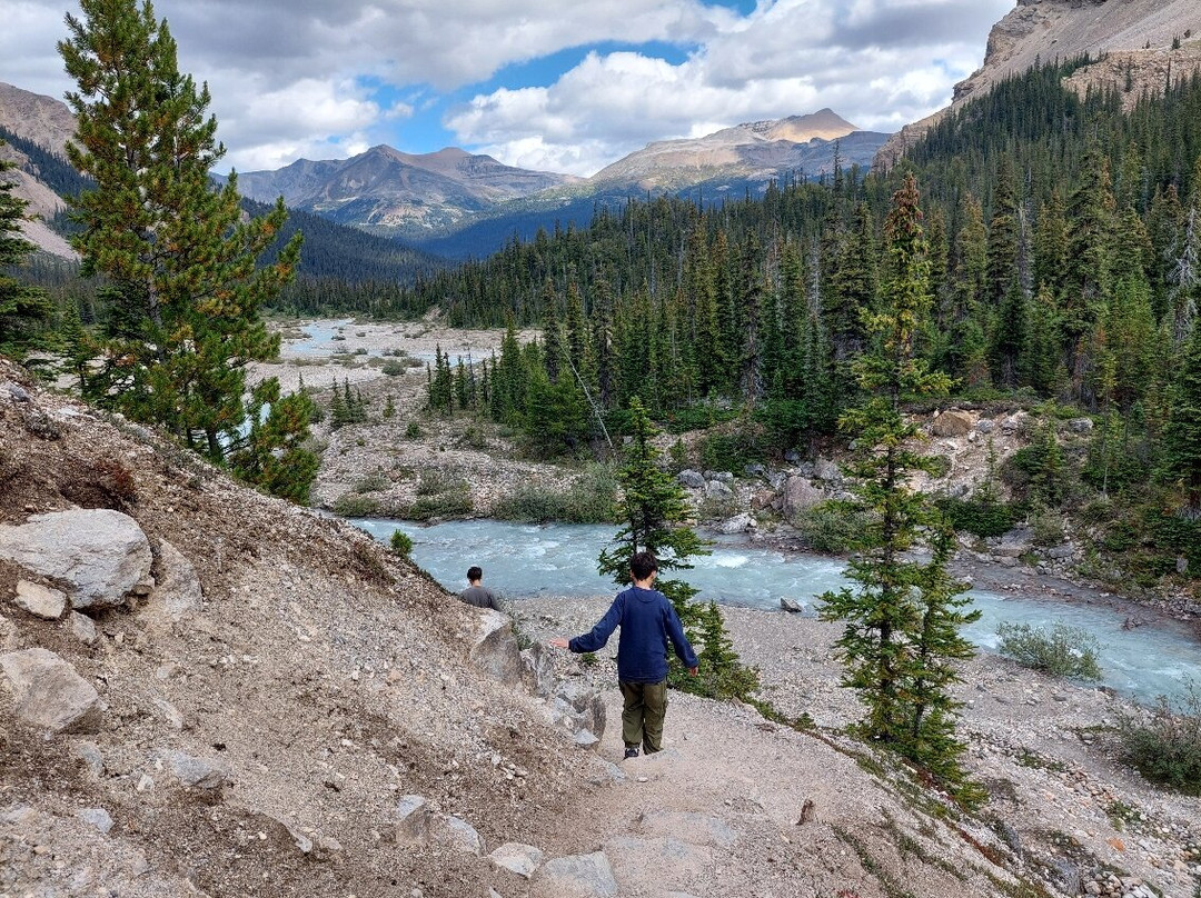 Bow Glacier Falls Trail-路易斯湖必去景点