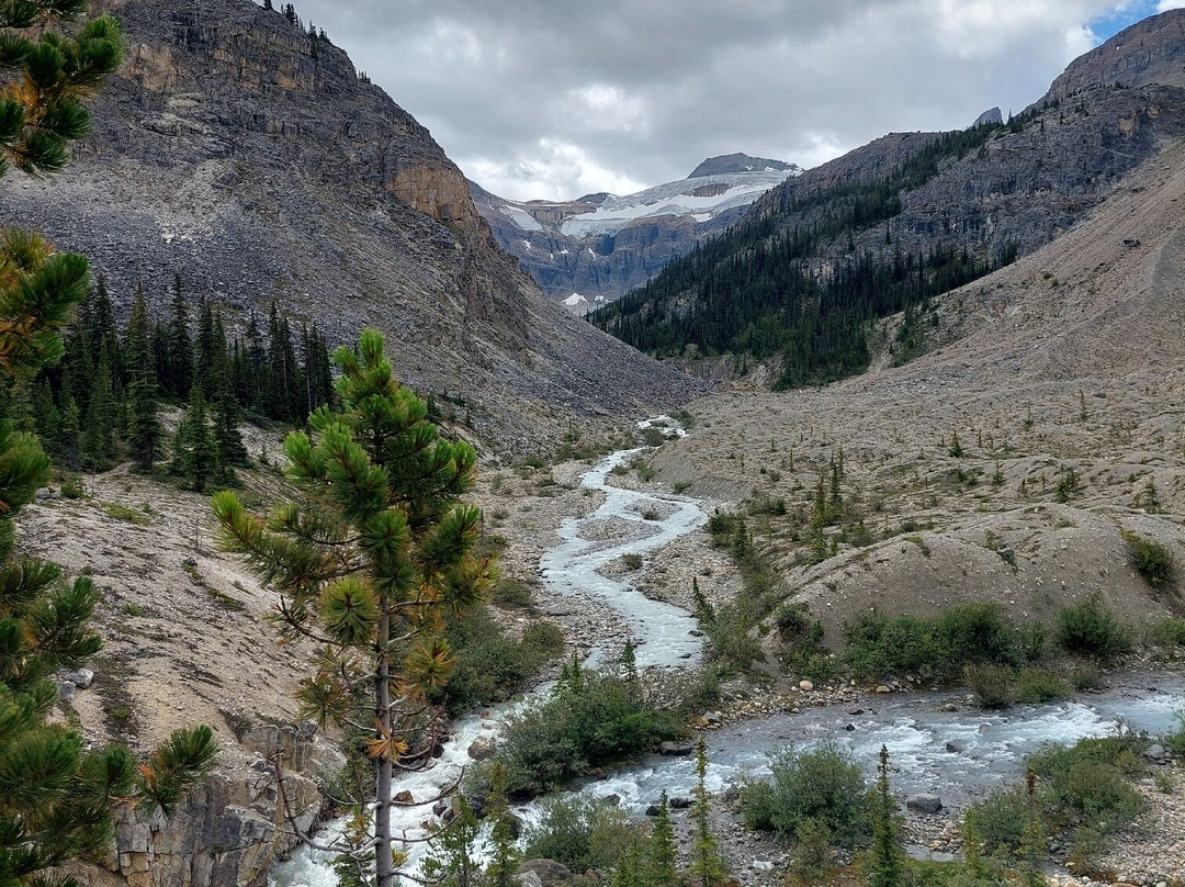 Bow Glacier Falls Trail-路易斯湖必去景点