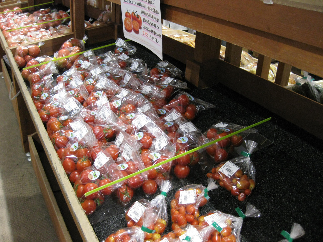 Michi-no-Eki Aizu Yugawa Aizubange-汤川村必去景点