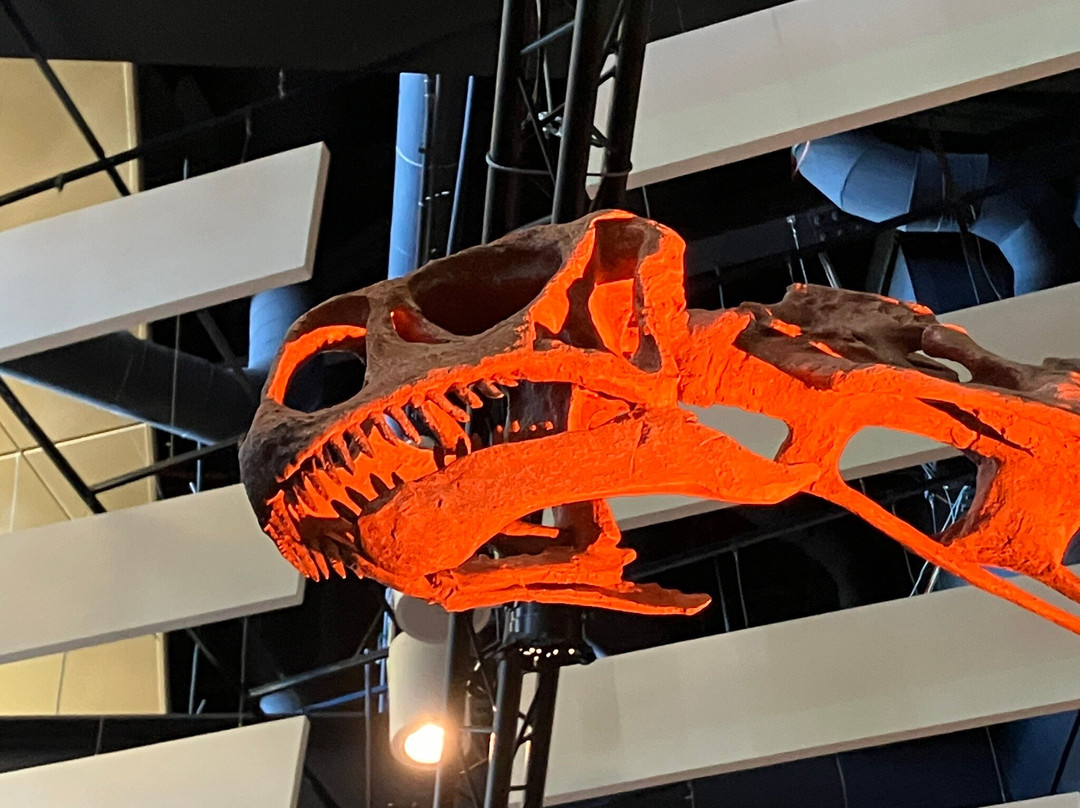 Science Museum of Virginia-里士满必去景点