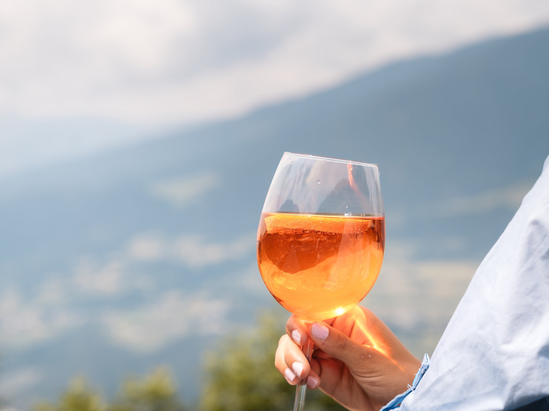 Aparthotel Bacher主图