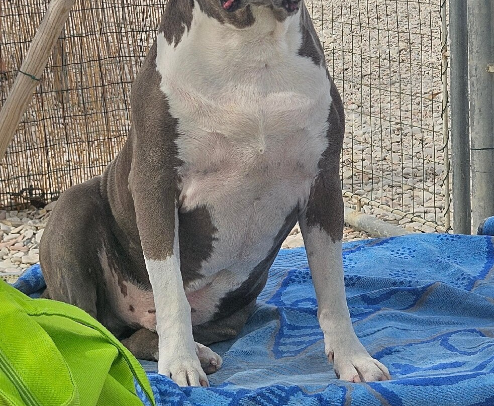 Baia Canaria-塞尼加利亚必去景点