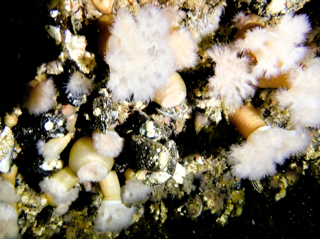 Club Nautique de Percé-Perce必去景点