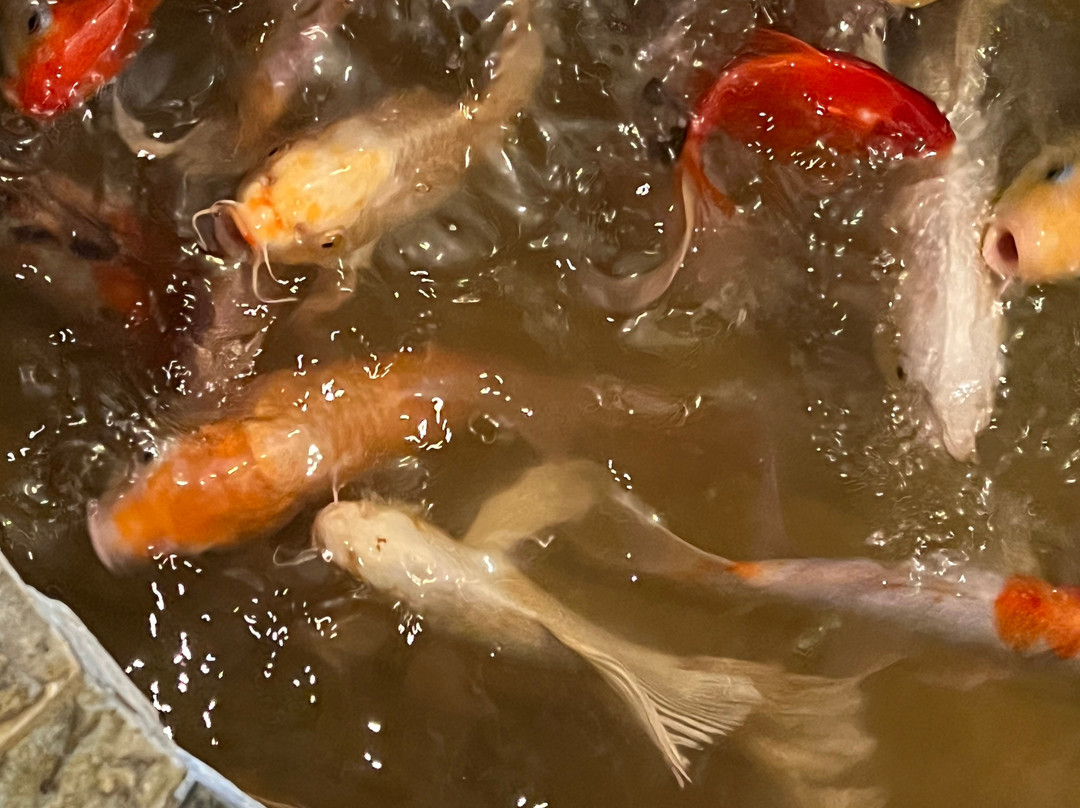 Okinawa Hibachi Sushi Asian