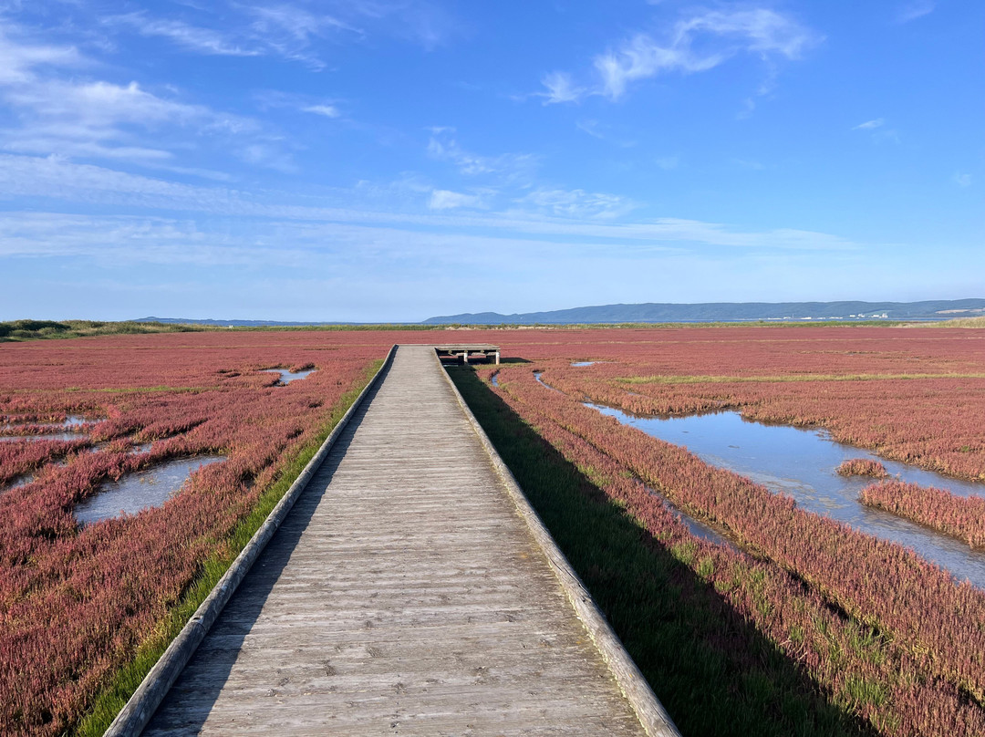 能取湖第一展望台-网走市必去景点