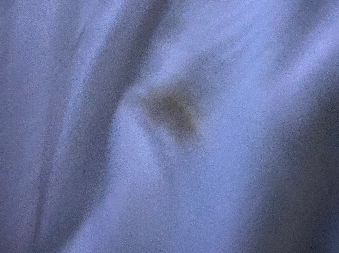 Best Western North Attleboro / Providence Beltway主图