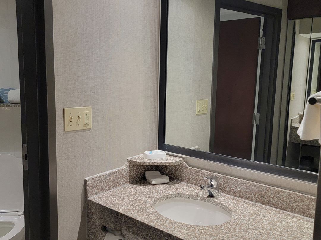 路易斯维尔德鲁里套房酒店主图