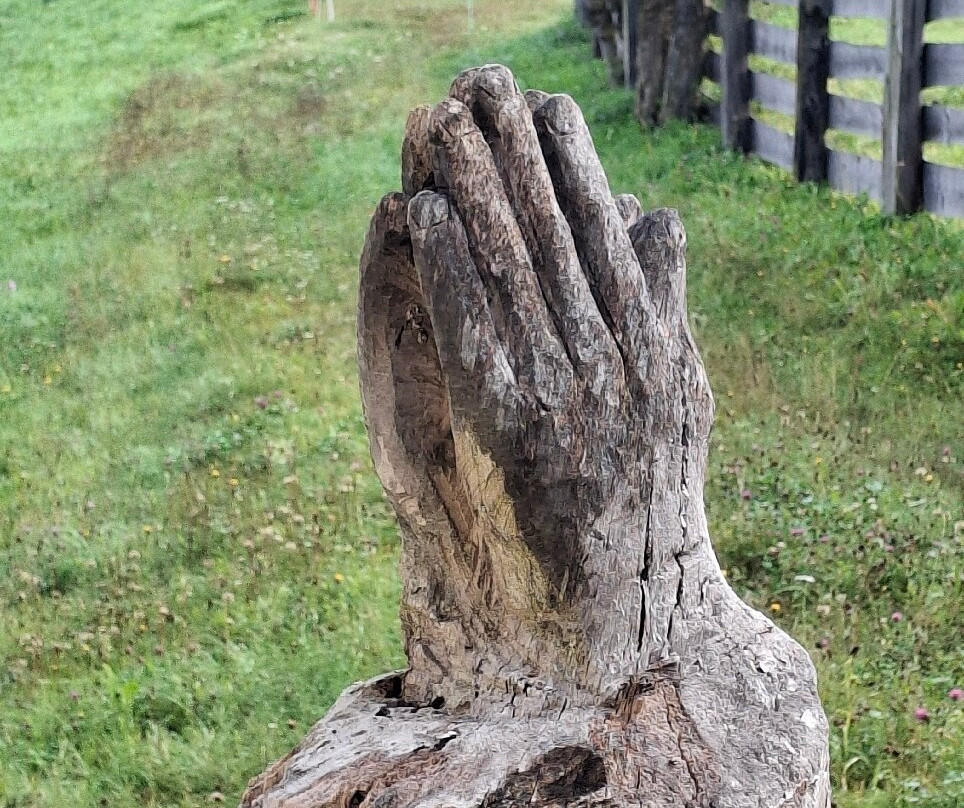 Residence Montana主图